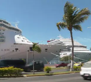 Cruceros