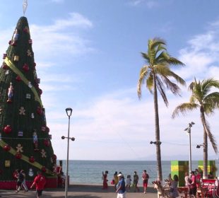 Árbol navidad en el malecón de Puerto Vallarta