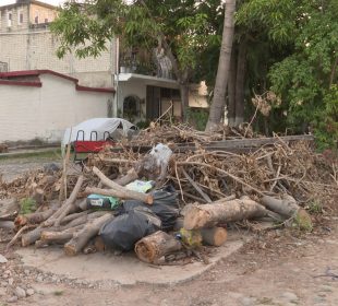 Poda y basura en calle de Aramara