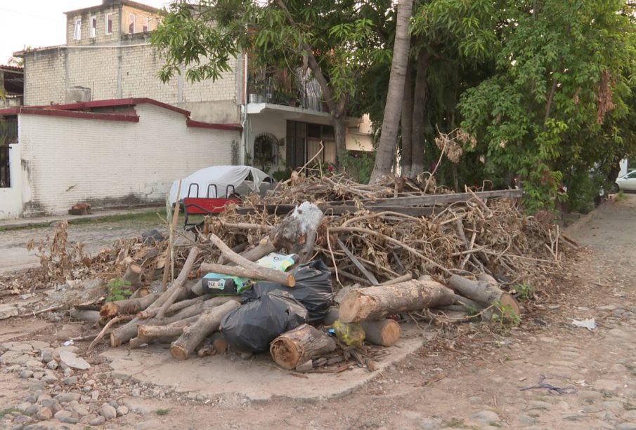 Poda y basura en calle de Aramara