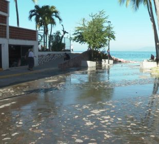 Aguas negras en calle Jesús Langarica