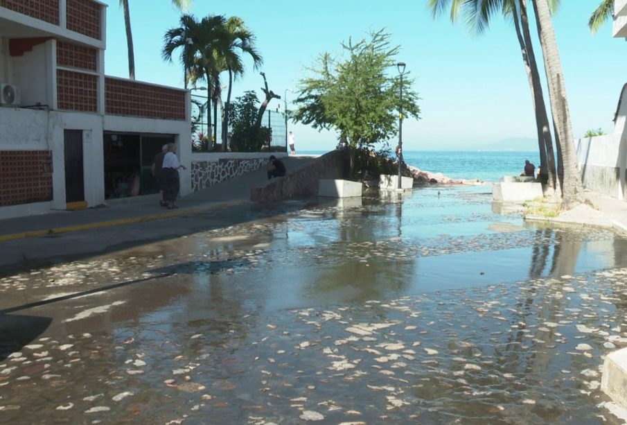 Aguas negras en calle Jesús Langarica