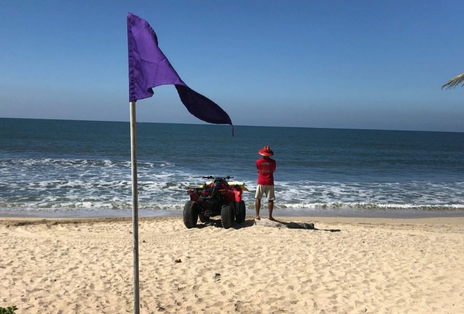 Bandera morada en playa de Bahía de Banderas