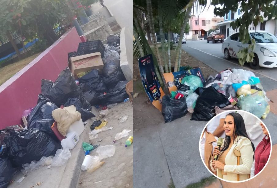 Basura tirada en calles