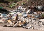 Basura y escombros en bulevar Federaciones