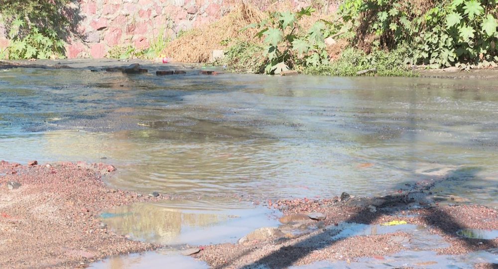 Charco de aguas negras