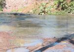 Charco de aguas negras