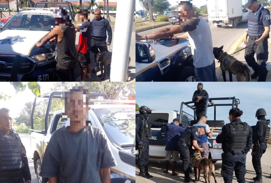 Detenciones en Bahía de Banderas
