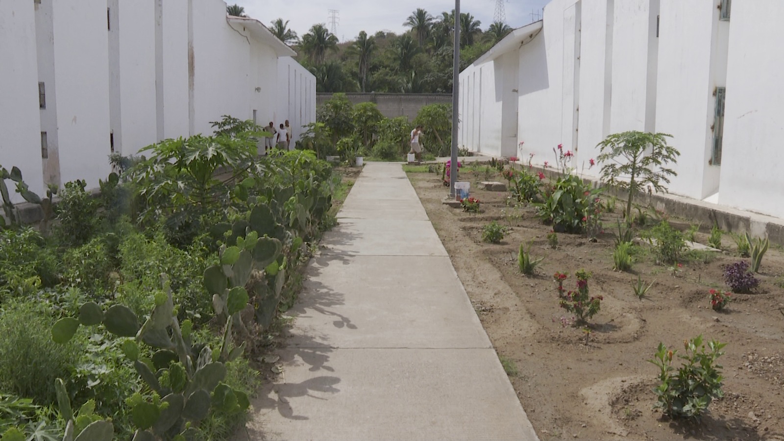 Huerto del Reclusorio de Puerto Vallarta