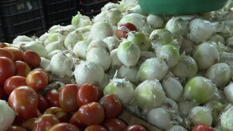 Jitomates y cebollas