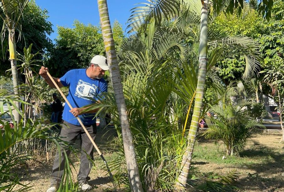 Los trabajos de sábados pro la transformación