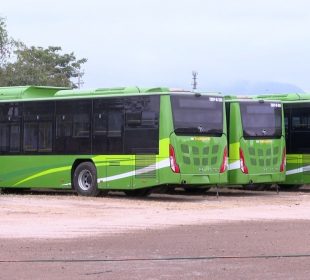 Nuevas unidades de transporte público