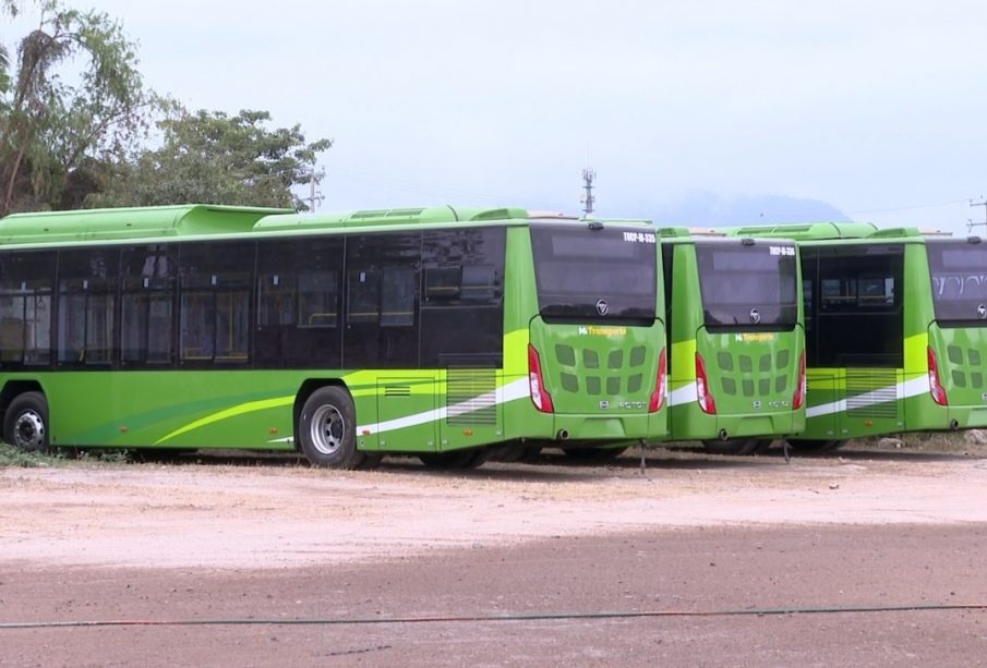 Nuevas unidades de transporte público