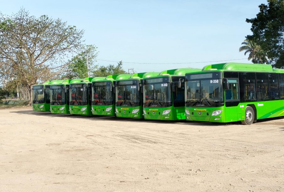 Nuevos camiones de transporte público