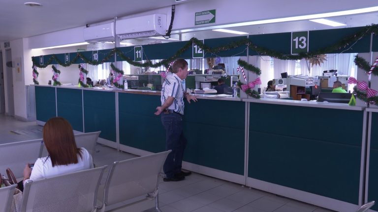 Personas en oficinas administrativas del IMSS