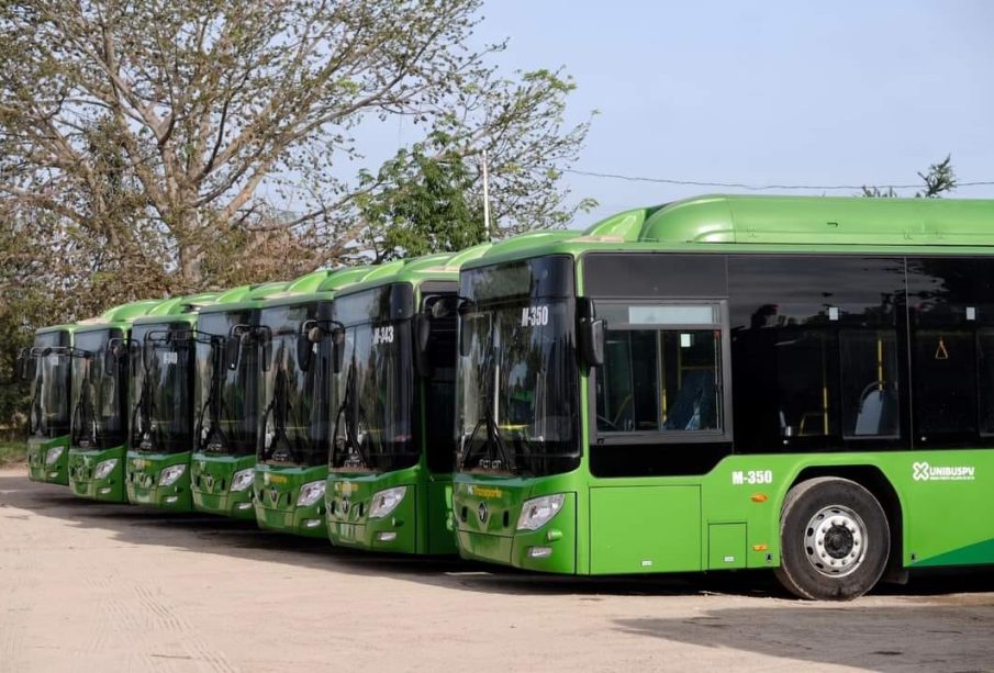 Unidades del transporte público en Vallarta