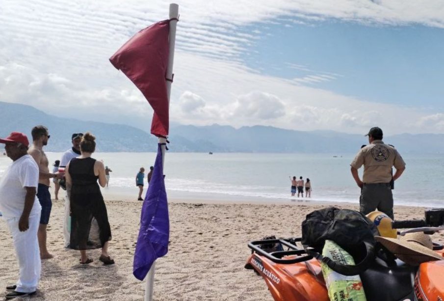 Bandera morada.