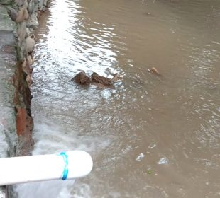 Agua sucia cae al Río Cuale