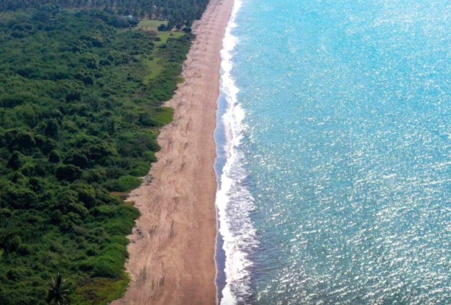 Santuario Playa Platanitos en Nayarit