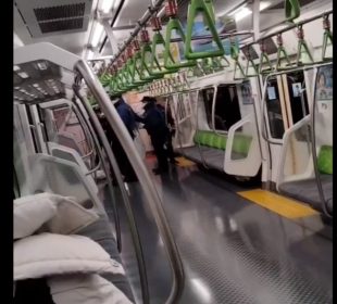 Mujer apuñala a cuatro en tren de Tokio