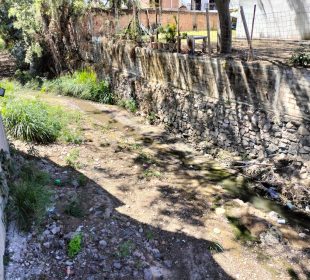 Aguas negras corriendo en arroyo La Virgen