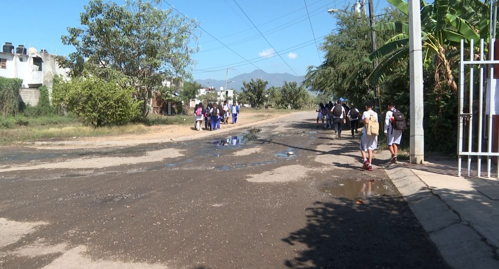 Av. de las Dalias del fraccionamiento Jardines del Sol