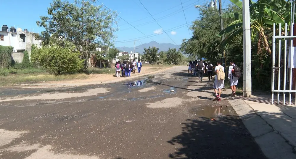 Av. de las Dalias del fraccionamiento Jardines del Sol