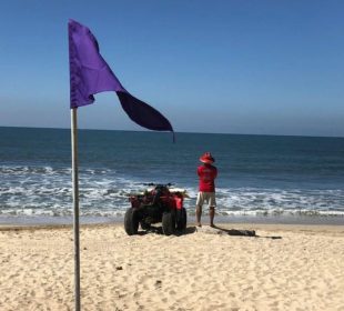 Bandera morada en playa