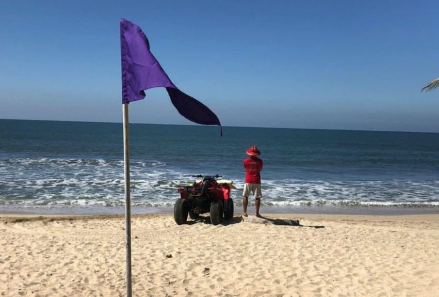 Bandera morada en playa