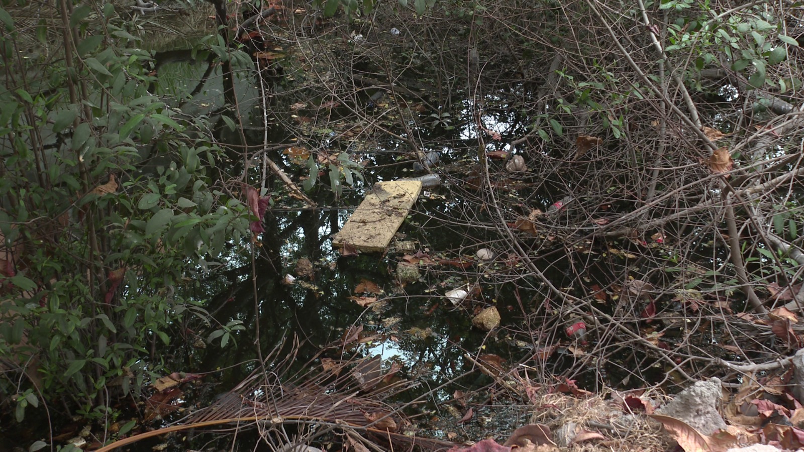 Basura en el canal de Los Tules