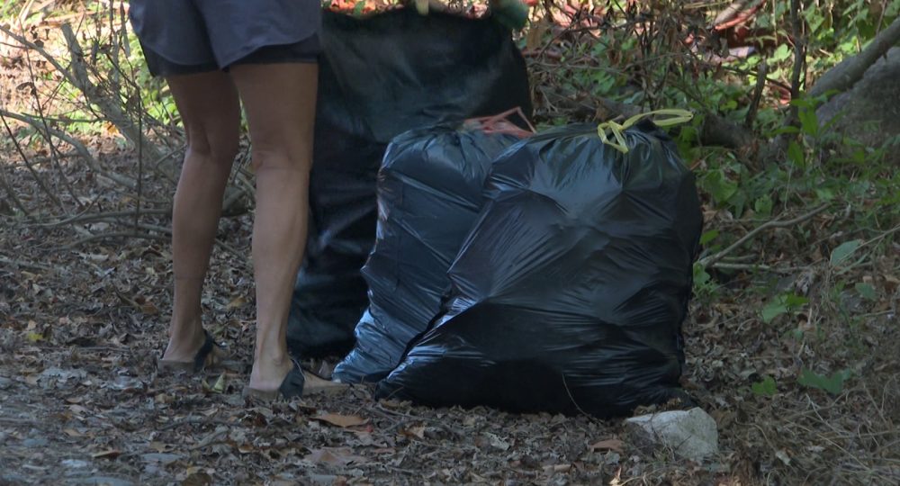 Bolsas de basura en Par Vial