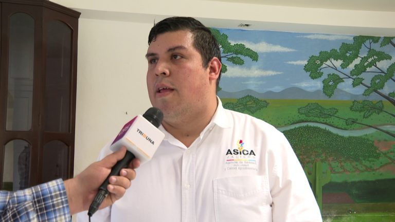 Carlos Gámiz Díaz, coordinador técnico de ASICA