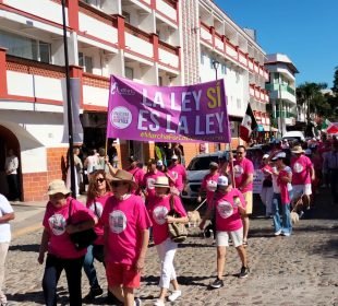 Ciudadanos en calles de vallarta marchando por democracia