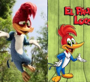 El pájaro loco la película