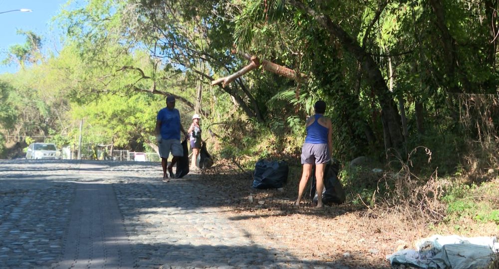 Extranjeros limpiando calle