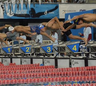 Nadadores saltando a piscina tras disparo