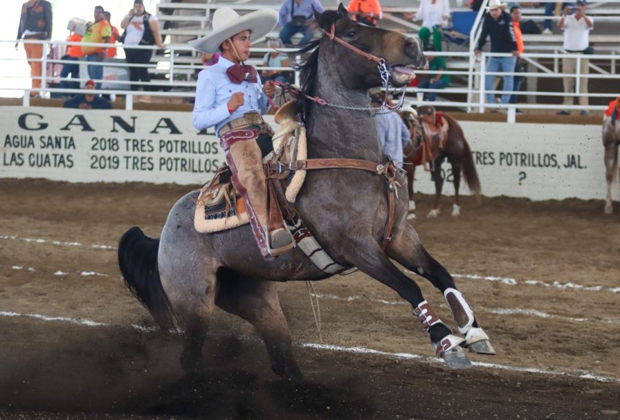 Niño montando a caballo