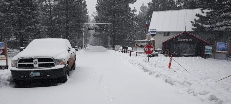 Parque Nacional Sierra de San Pedro Mártir en BC cubierto de nieve