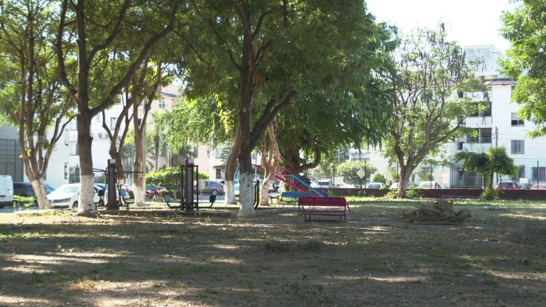 Parque no se tocará para construir capilla