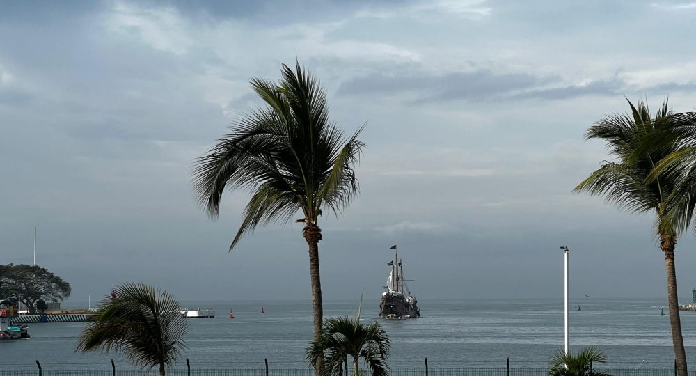 Yates en Vallarta.