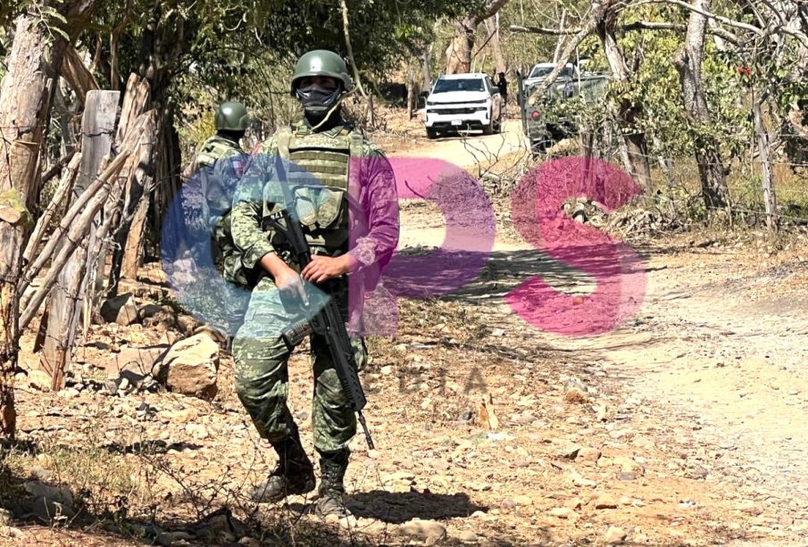 Militares resguardan aserradero clandestino