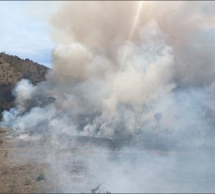 Incendio en La Primavera.