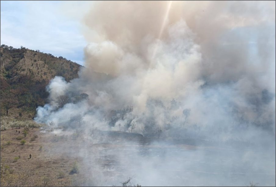 Incendio en La Primavera.