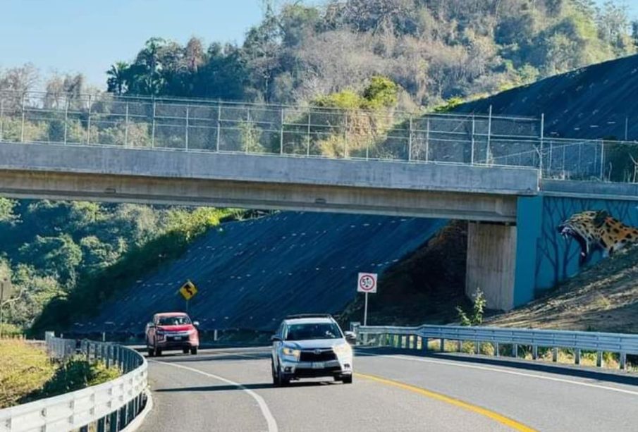 Autopista Guadalajara-Tepic- Puerto Vallarta