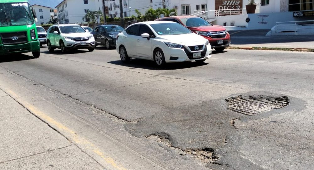 Bache en el crucero de El Pitillal