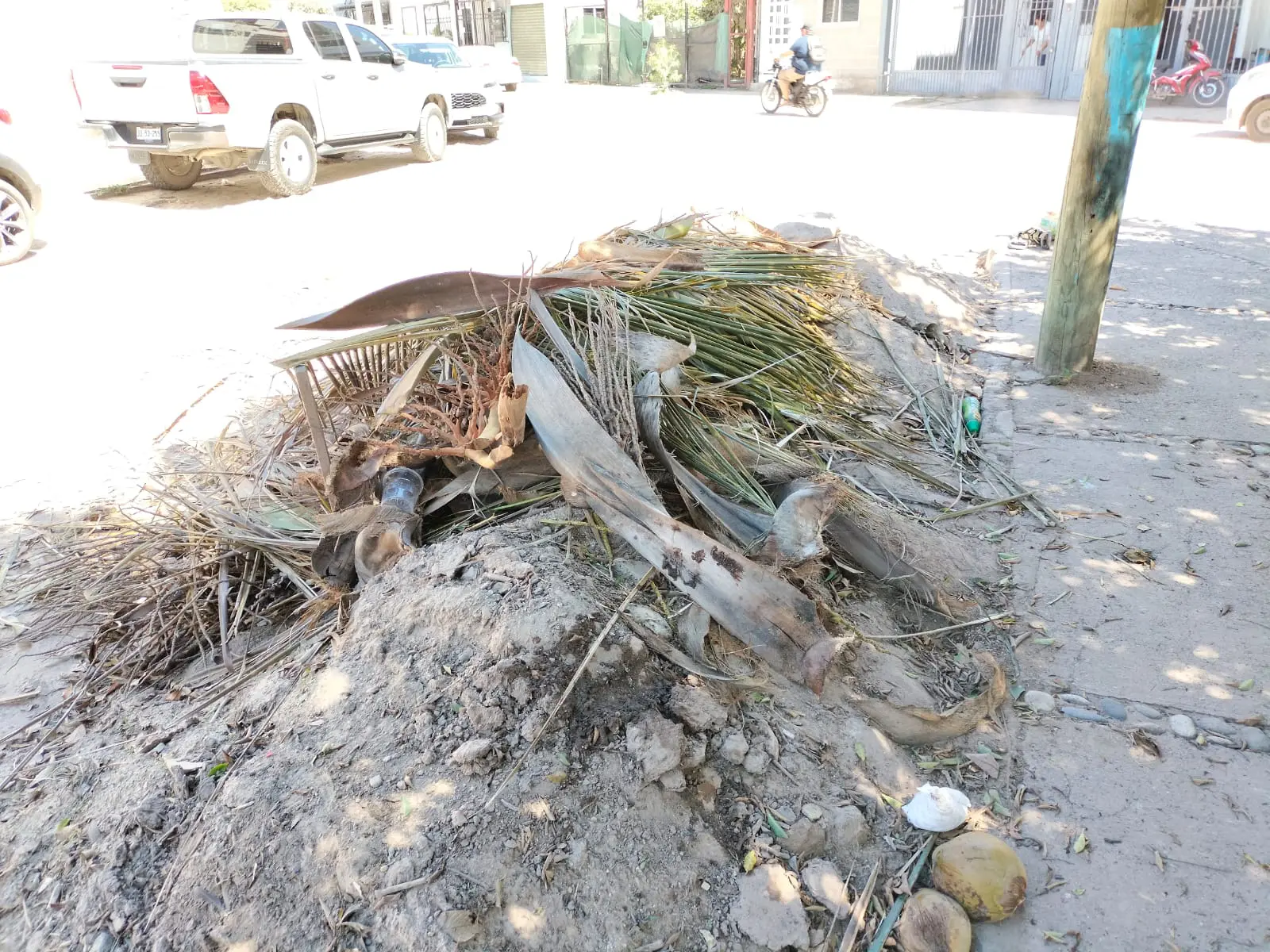 Basura en la colonia Valentín Gómez Farías