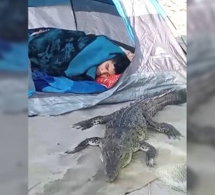 Cocodrilo durmiendo junto a turista acampando