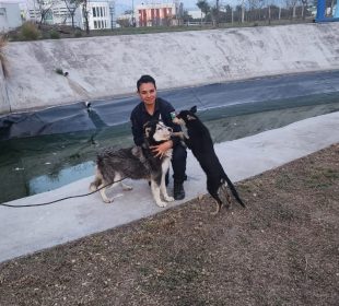 Dos perros fueron rescatados