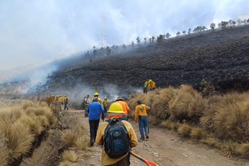 Liquidan 33 incendios forestales en México, restan 99 en 21 estados