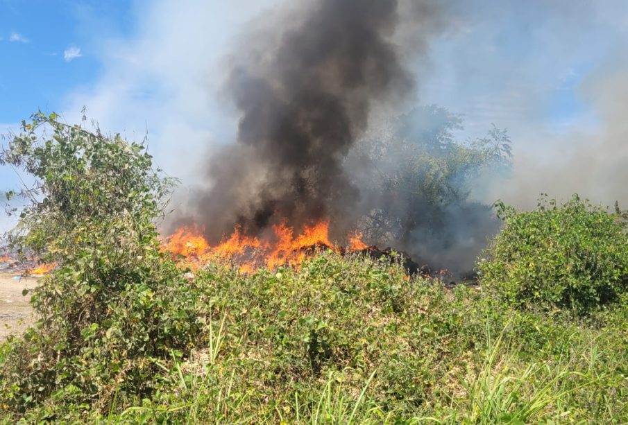 Incendio en pastizal